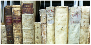 Special Collections Books Spines of old books on a shelf
