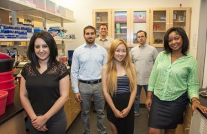 Left to right, CSUN graduate biology students Yvess Adamanian, Armen Gharibi, biology professor Jonathan Kelber, undergraduate and MARC scholar Sa La Kim, graduate students Justin Molnar and Malachaia Hoover stand in one of the cancer research labs at CSUN. Photo by Luis Garcia. 