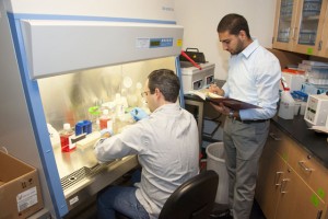 Left to right, CSUN graduate students Justin Molnar and Armen Gharibi take notes and analyze cell samples in the lab. Photo by Luis Garcia. 