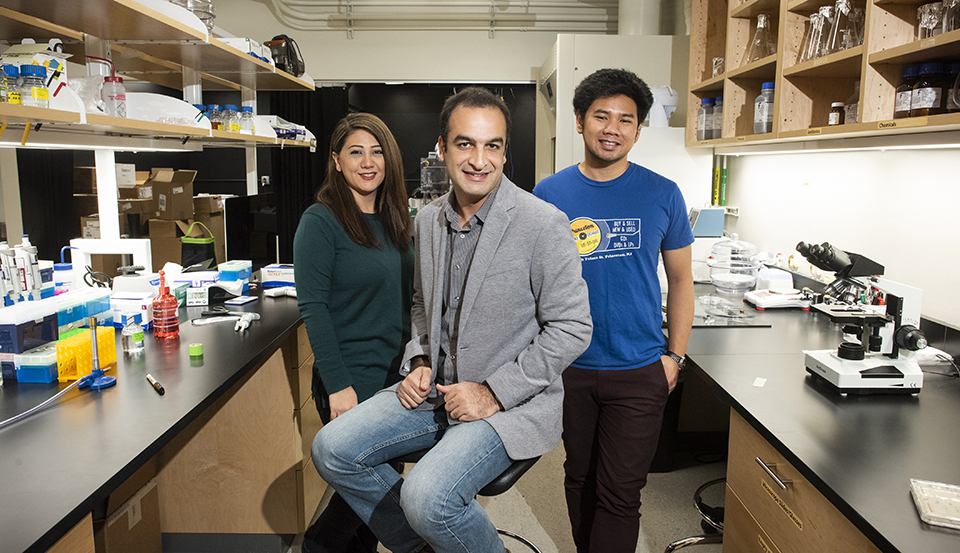 Research associate Salimeh “Sanaz” Mohammadi (left) and physics graduate student John Paul Talledo (right) stand with CSUN physics professor Sattar Taheri-Araghi (center) in his lab, where they discovered a new class of bacterial tolerance against antibiotics . Photo by Lee Choo.
