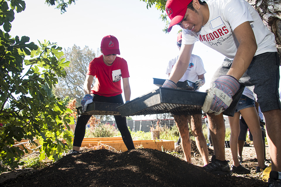 Volunteers planting in the CSUN gardens during last year's Matadors Day of Service. Photo by David J. Hawkins