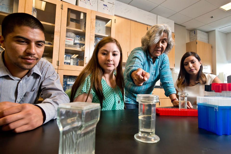 CSUN biology professor MariaElena Zavala, second from right, is helping to reimagine how colleges meet the needs of STEM students. Photo by Lee Choo. 