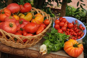 Harvest for web