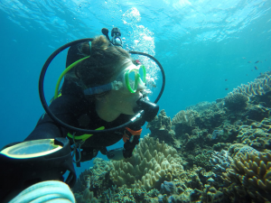 CSUN biology graduate alumnus Jessica Bergman, studying the corals in Okinawa, Japan. Photo Credit: Jessica Bergman