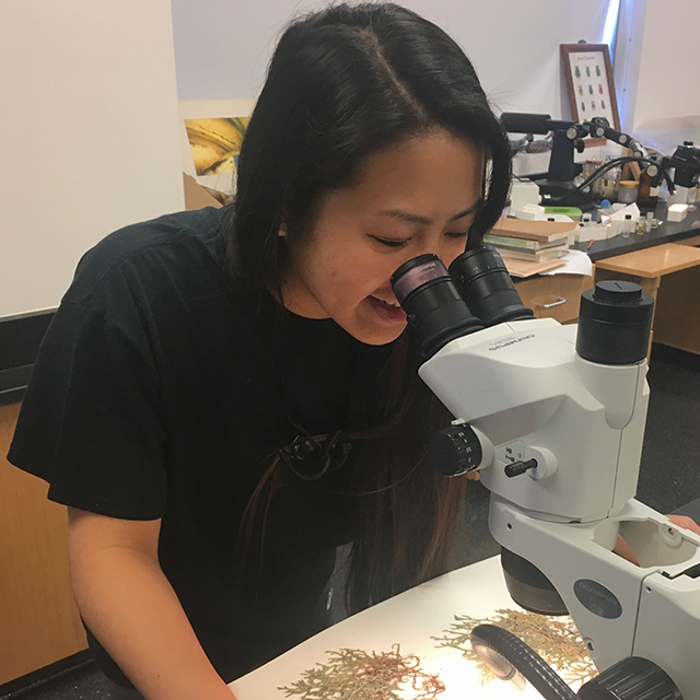 Biology student Karleen Cruz is part of the effort to digitize CSUN's collection of plant specimens. Photo by Paul Wilson. 