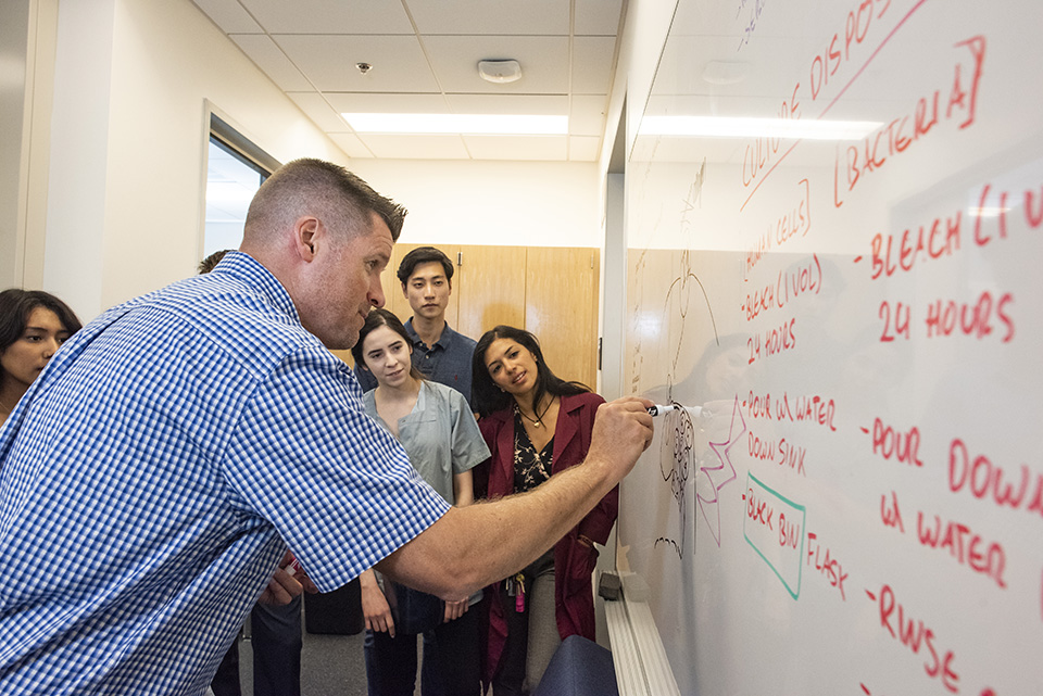 CSUN biologist Jonathan Kelber, above at the white board, has identified a new approach for targeting breast cancer metastasis . Photo courtesy of Jonathan Kelber.