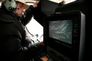 Michael Kelem captures footage of beluga whales for BBC's "Frozen Planet." 
