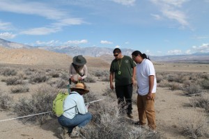 CSUN botany professor Paula Schiffman, left, demonstrates how to take vegetation samples from Owens Valley to students. Photo provided by Kim Kirner.  