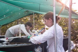 CSUN biology professor Nyssa Silbiger, right, and her colleague Megan Donahue of the Hawaii Institute of Maine Biology are collecting water samples during the experiment. Photo credit Henry Shiu.