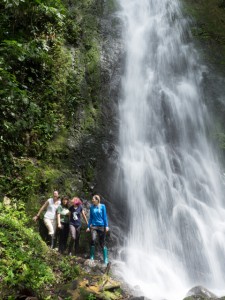 CSUN biology students explore the tropics in South America every other year. Photo provided by Tim Karels. 