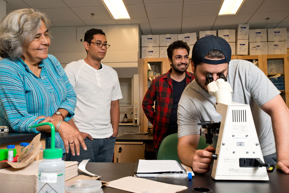 CSUN biology professor MariaElena Zavala (left) is seen here working with students in the MARC program. Photo by Lee Choo.