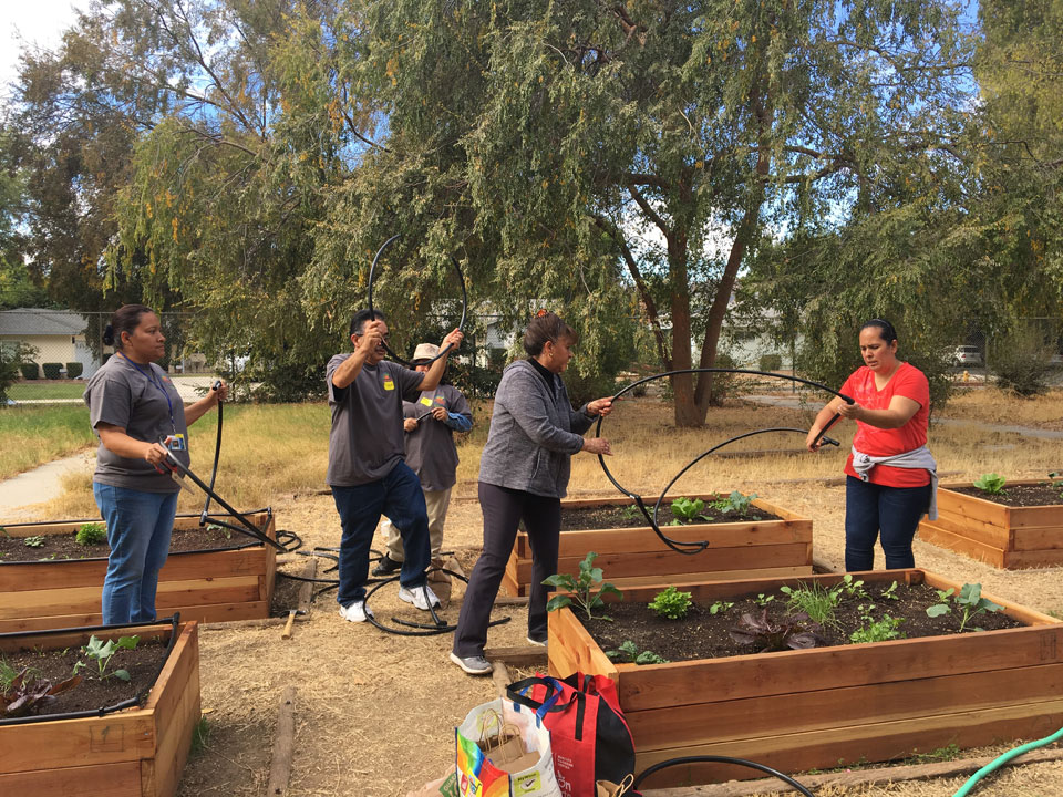 Members of the Canoga Park community building a community garden, one of several projects launched as part of Champions for Change. Photo courtesy of Viridiana Ortiz.