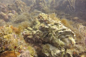 The researchers found sand scour, broken coral, soft spongers and soft coral ripped from the ocean floor and boulders tossed about. Photo courtesy of Peter Edmunds.