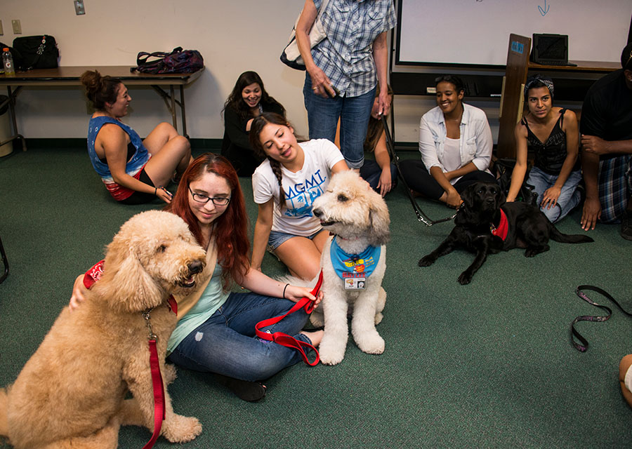 Students sit on the floor petting dogs.