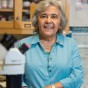 CSUN Biology Professor MariaElena Zavala Named a California Academy of Sciences Fellow