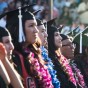 Provost Candidate Open Forums