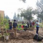 CSUN Strikes Gold in National Higher Ed Sustainability Ranking