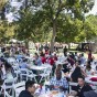 Large crowd at President's Picnic 2017.