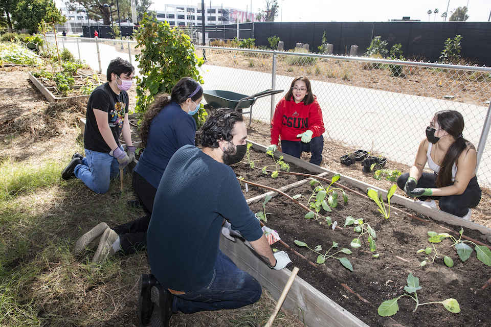 The Agroecology, Farming and Food Pathways program is open to both community members and CSUN students. Photo by Lee Cho