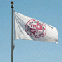 CSUN flag against blue sky