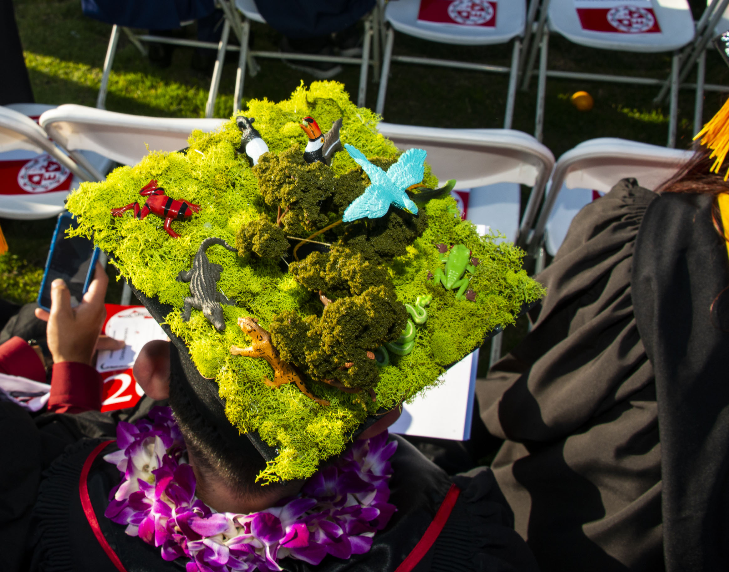 aerial view of a graduation cap decorated with moss and animal figurines.