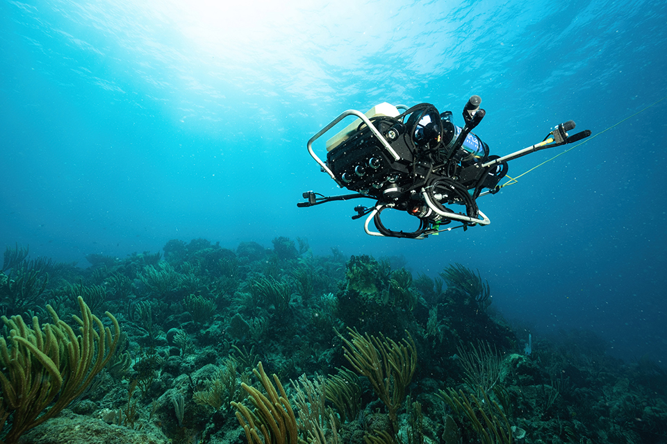 This intrepid underwater robot may help CSUN marine biologist Peter Edmunds find clues for protecting vanishing coral species in the reefs of the U.S. Virgin Islands. Photo by Austin Greene, Woods Hole Oceanographic Institution. 