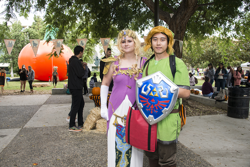 Couple dressed as Link and Zelda from the Legends of Zelda game