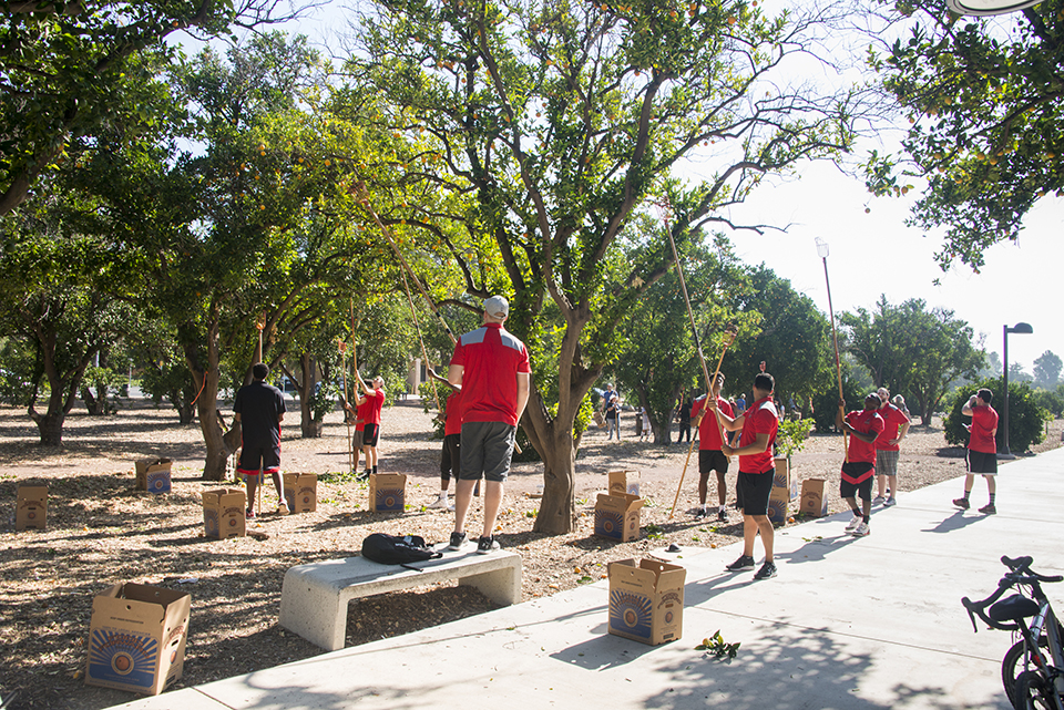 Volunteers stand throughout the Orange Grove