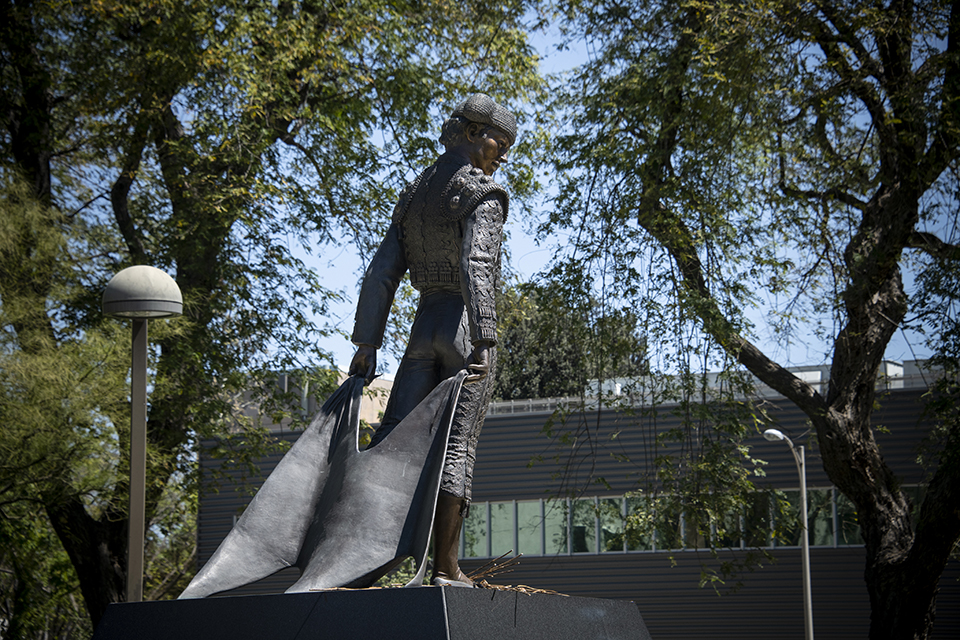 An artistic shot of CSUN's Matador statue framed by trees.