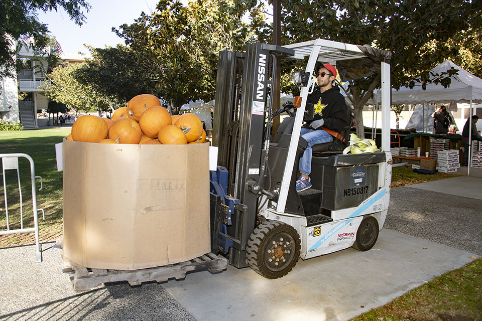 A forklift delivers a big box of pumpkins to CSUN’s 2019 Pumpkin Fest patch.