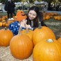 A baby sits surrounded by pumpkins at the CSUN Pumpkin Fest.