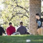 Four CSUN students are talking. Three of them are seated on grass and one is standing near a tree.