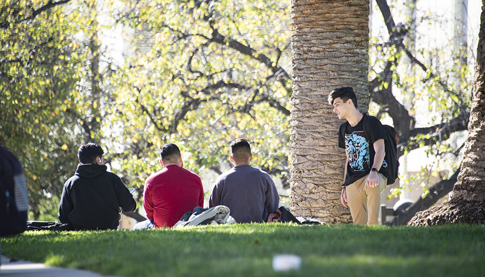 Four CSUN students are talking. Three of them are seated on grass and one is standing near a tree.