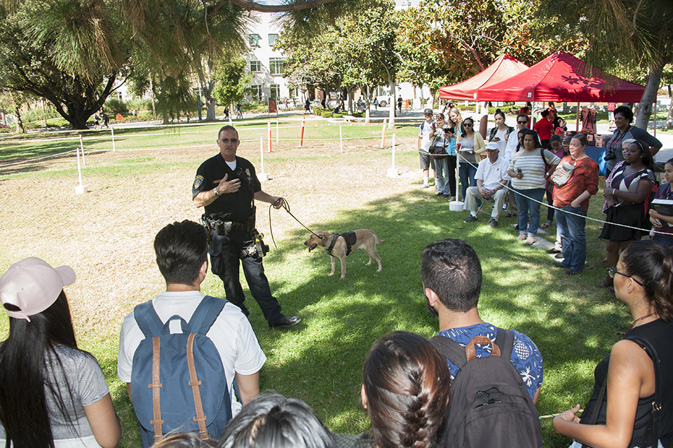 Officer Messmore talks to the crowd while Daisy walks around on a leash.