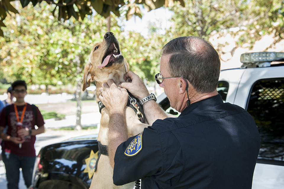 Daisy props herself against Officer Messmore while she gets a chin scratch.