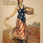 A poster of a woman in a dress that resembles the United States of America flag, walking through a garden planting seeds.