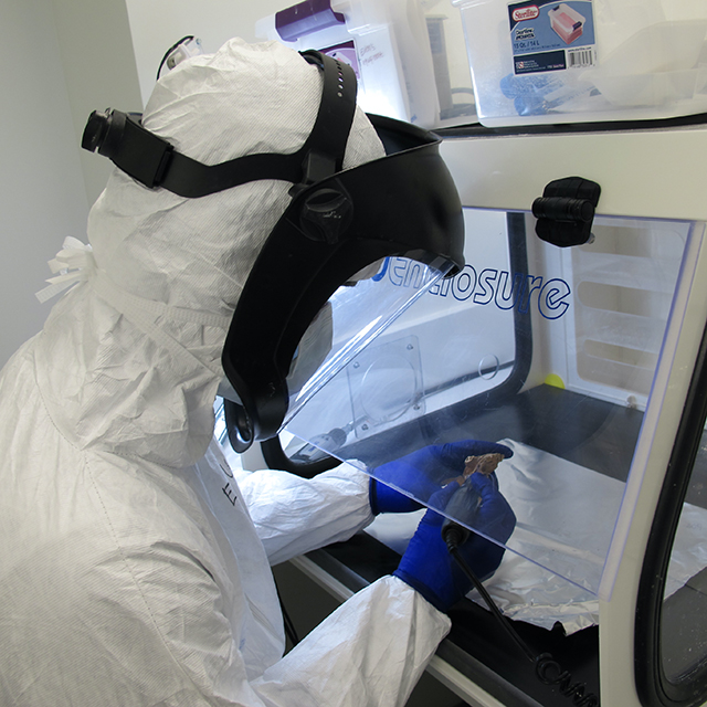 Assistant professor of biology Eduardo Amorim, pictured here taking a look at a bone fragment from an ancient human, has received a $1.7 million grant from the National Institutes of Health to study how ancient epidemics impacted the DNA of humans, which may provide insight into how these pathogens — bacteria and viruses — evolved, and how the human genome has changed in response. Photo courtesy of Eduardo Amorim.