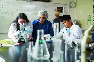 Biology professor MariaElena Zavala (center), lead director of CSUN’s U-RISE program, is passionate about providing undergraduates with opportunities to conduct scientific research