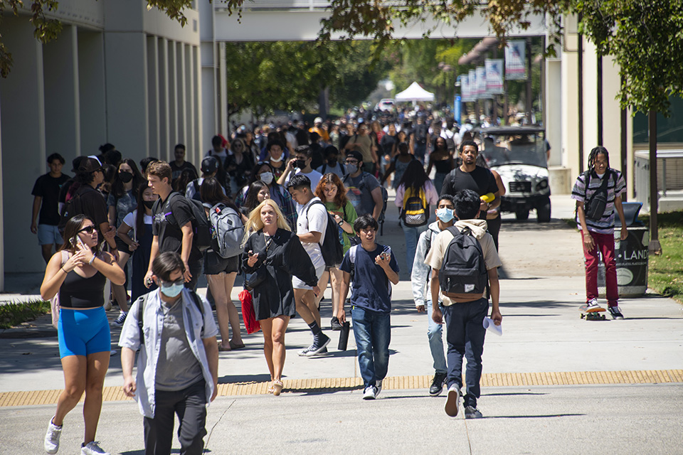 Large groups of students on campus sidewalk.