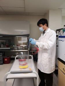 CSUN professor Bingbing Li works in his lab to create face shields for health care workers. 