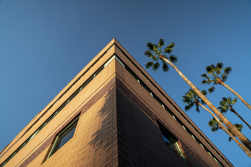 Looking up at a corner of CSUN's Jacaranda Hall, flanked by palm trees.