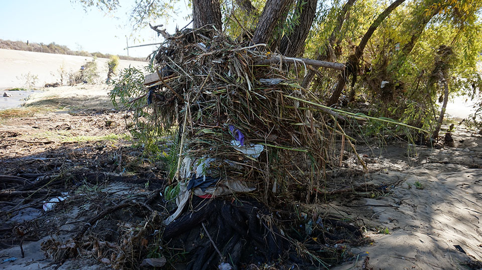 A large pile of weeds, cane plants and garbage piled up on a bank of the LA River, after a rainstorm.
