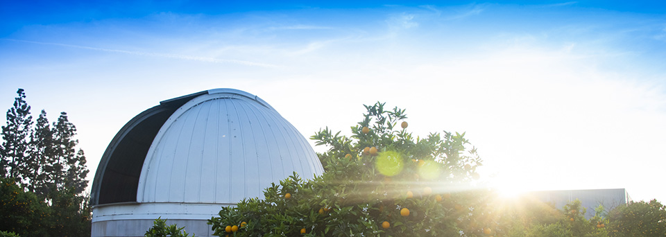 CSUN Observatory nestled amongst orange trees.