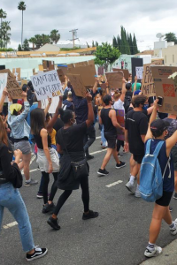 Demonstrators raise signs calling for an end to police brutality at a Black Lives Matter protest. 