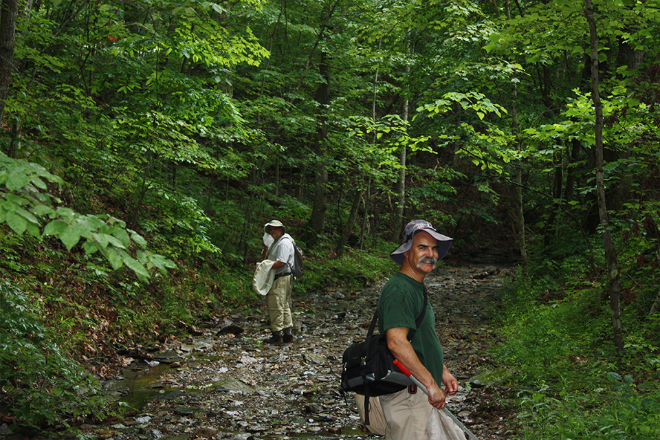 Hogue (front, right) collecting flies in Kentucky in 2015. Photo Courtesy of James Hogue.