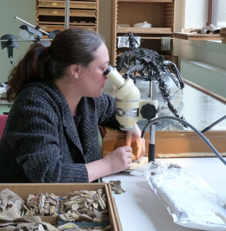 Anthropology professor Hélène Rougier examine remains found in Goyet, a cave in Belgium. Her work is helping uncover clues about human evolution and health. Photo courtesy of Hélène Rougier.