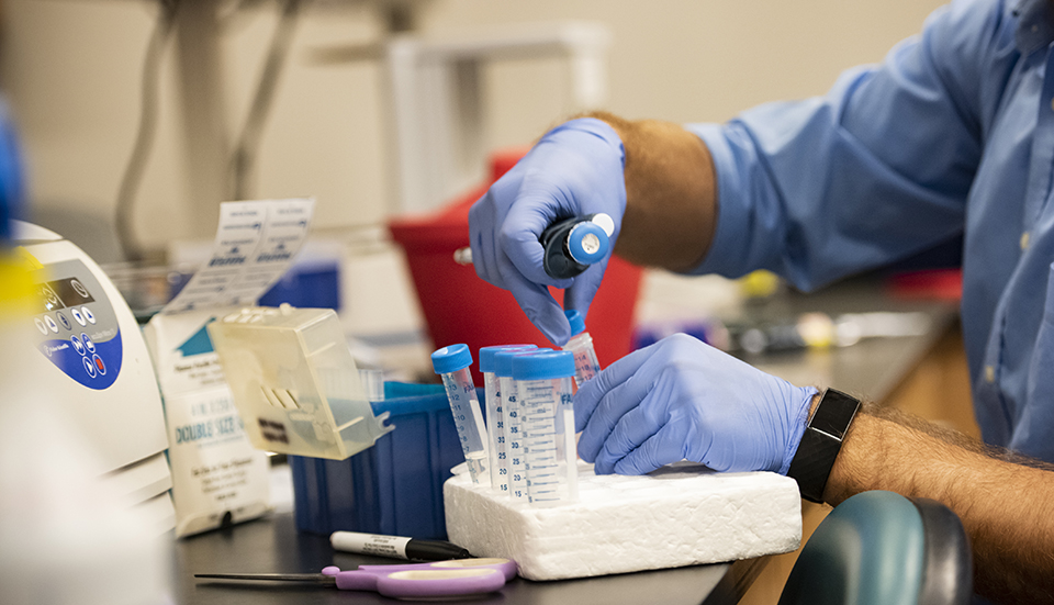 Scientists who don’t feel they can express their queer identities at work have lower research productivity, according to a new study by CSUN evolutionary biologist Jeremy Yoder. Photo by Lee Choo.