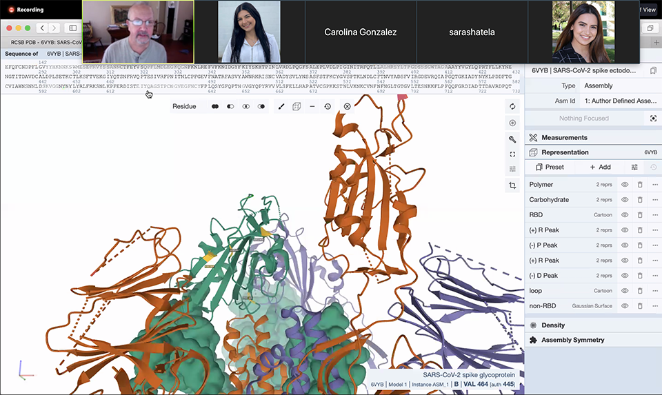 A screenshot of Sara Shatel's map of the SARS-CoV-2 spike protein.