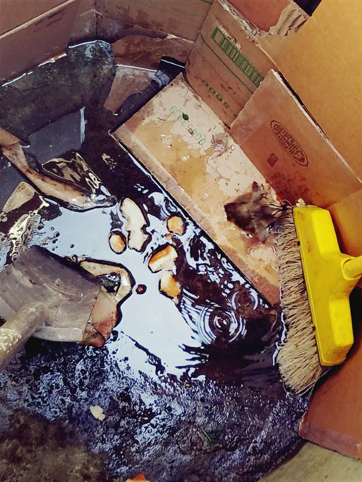 The abandoned duckling that got left behind. Officer Sanchez, Officer Alexis Arellano and Sgt. Angela Voorhees and PPM staff used bread, a broom and cardboard to corner the duckling.