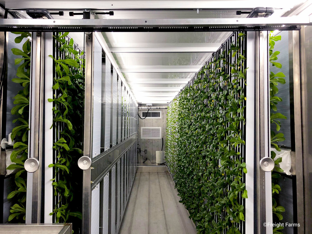 The inside of a container farm. 